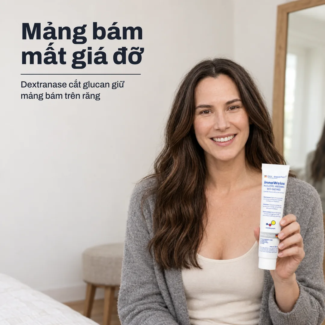 Mảng bám mất giá đỡ — Dextranase cắt glucan giữ mảng bám trên răng