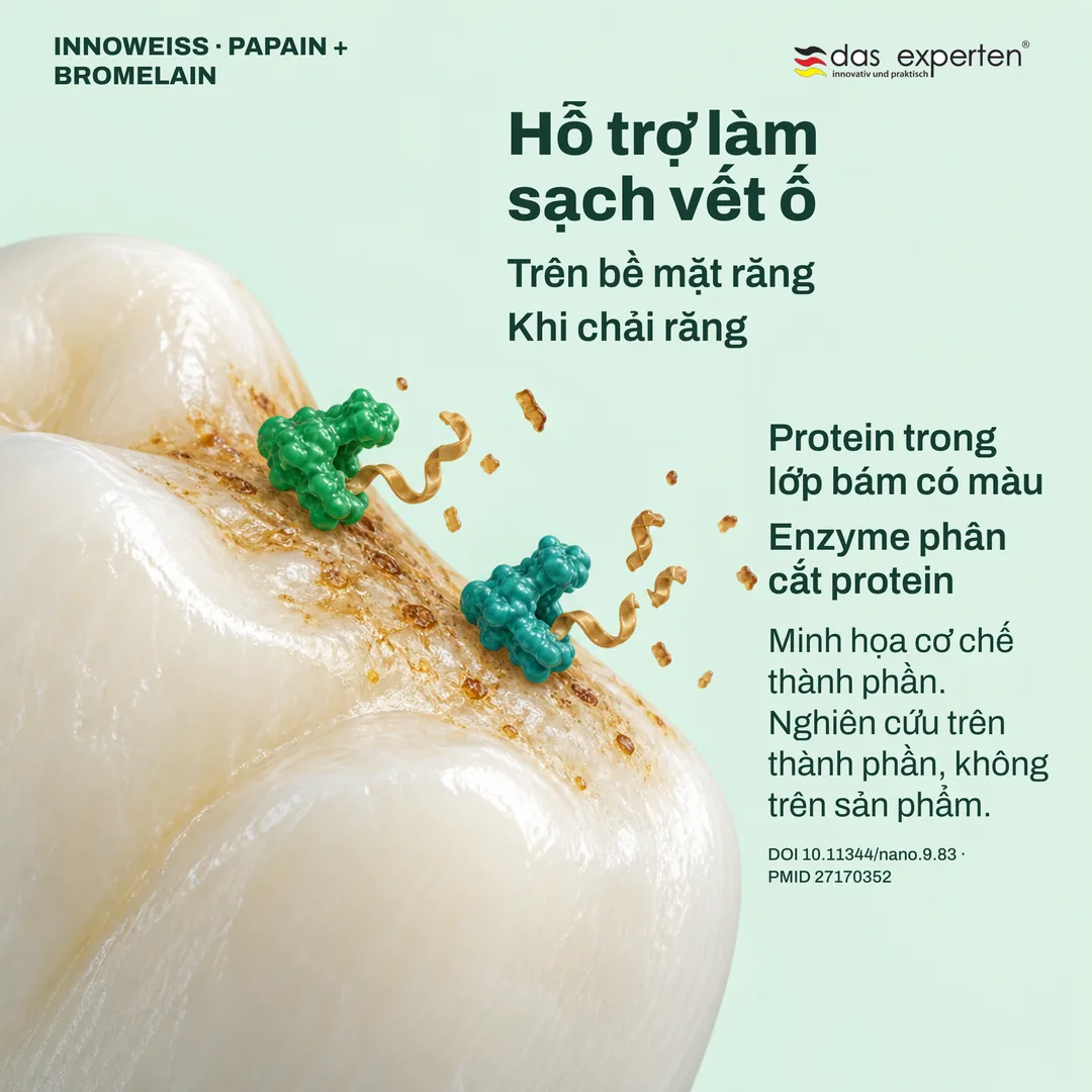 Minh họa enzyme phân cắt protein trong lớp bám có màu trên bề mặt răng: hỗ trợ làm sạch vết ố khi chải răng
