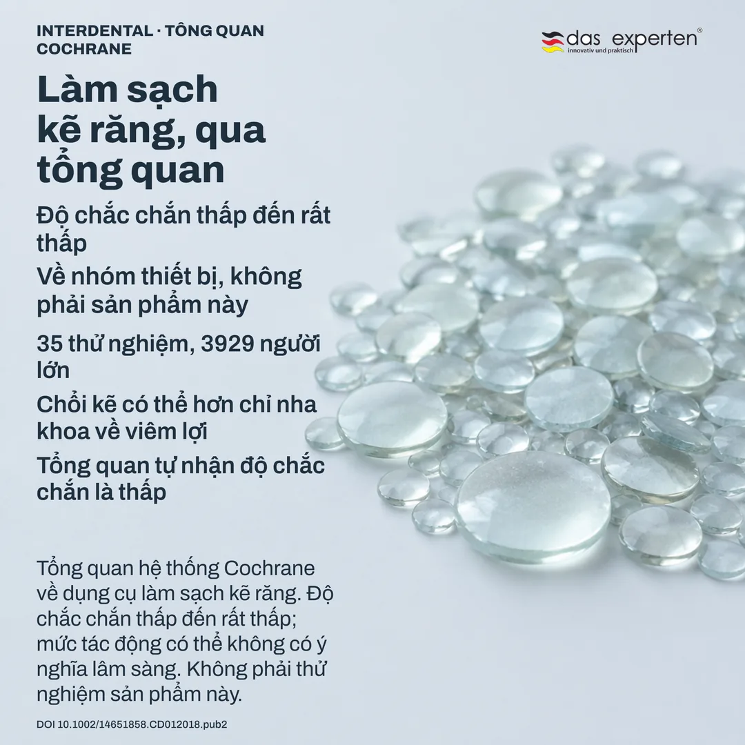 Sơ đồ tổng quan: khối bằng chứng gồm các thử nghiệm và người tham gia, mức độ chắc chắn ghi rõ bên cạnh kết quả