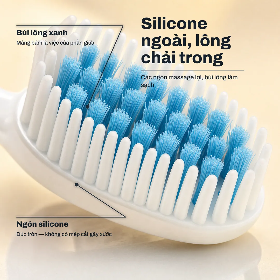 Silicone ngoài, lông chải trong — Các ngón massage lợi, búi lông làm sạch · Ngón silicone: Đúc tròn — không có mép cắt gây xước · Búi lông xanh: Mảng bám là việc của phần giữa