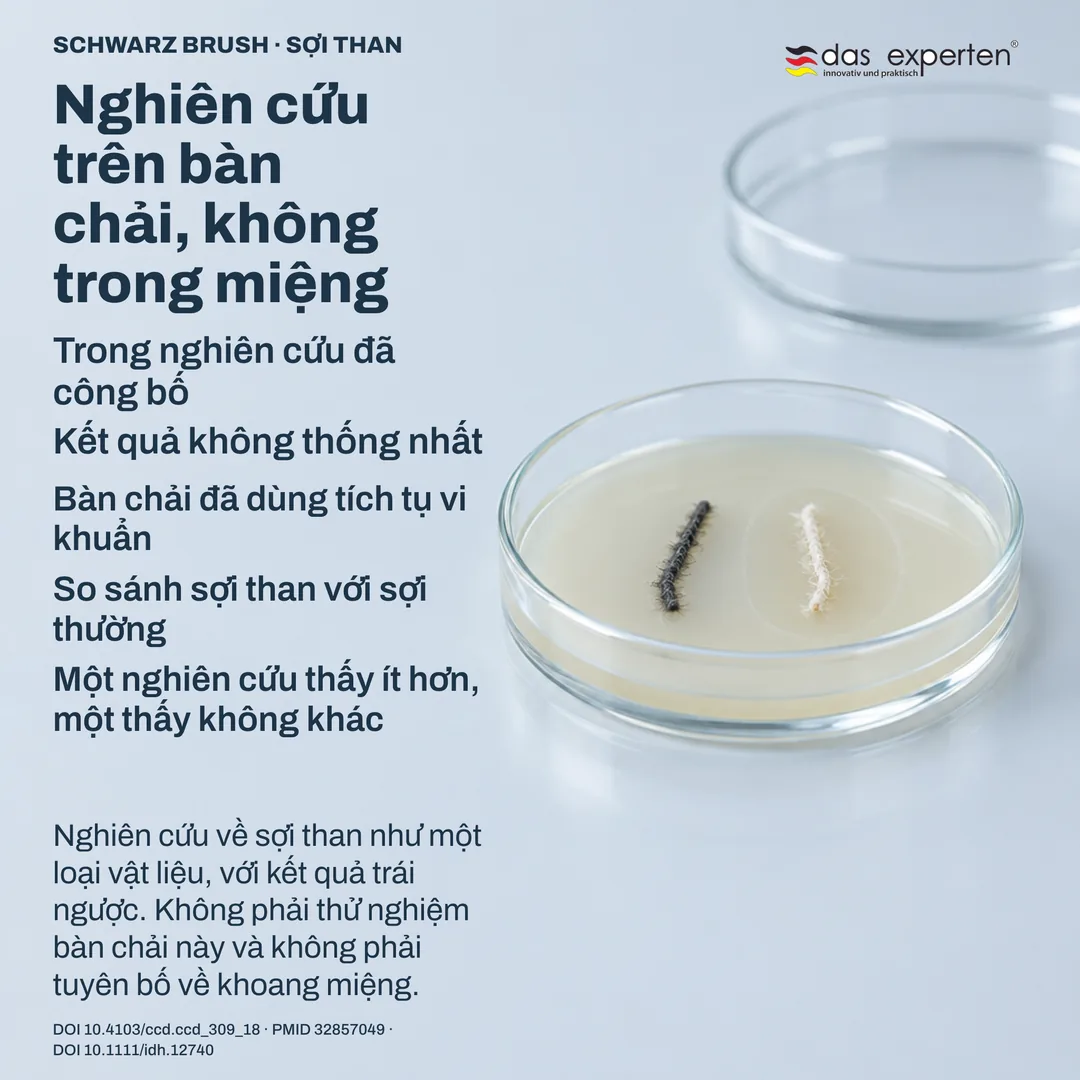 So sánh trong phòng thí nghiệm: hai mẫu sợi trên đĩa nuôi cấy, có vùng đo quanh một mẫu, nghiên cứu trên bàn chải đã dùng