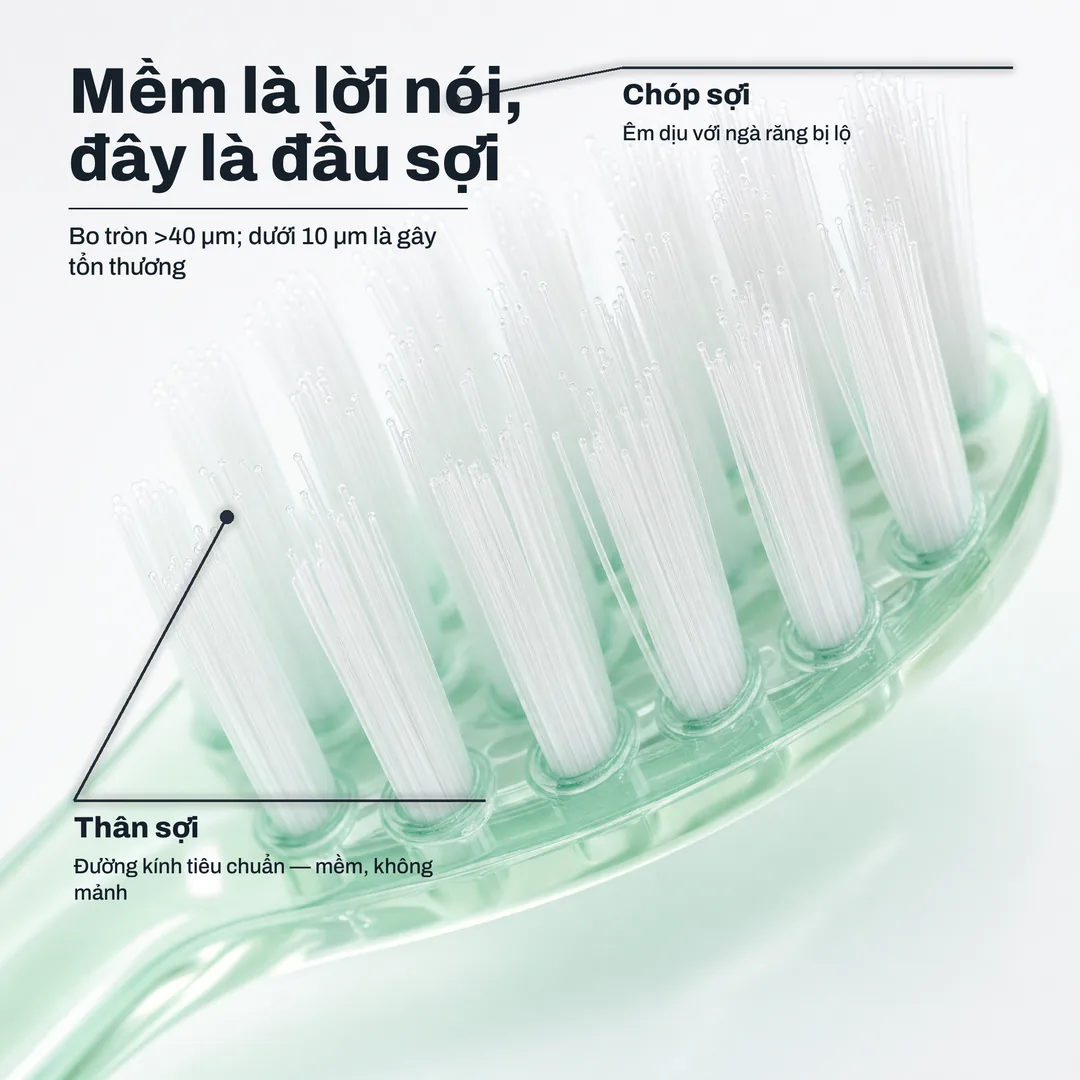 Mềm là lời nói, đây là đầu sợi — Bo tròn >40 μm; dưới 10 μm là gây tổn thương · Chóp sợi: Êm dịu với ngà răng bị lộ · Thân sợi: Đường kính tiêu chuẩn — mềm, không mảnh