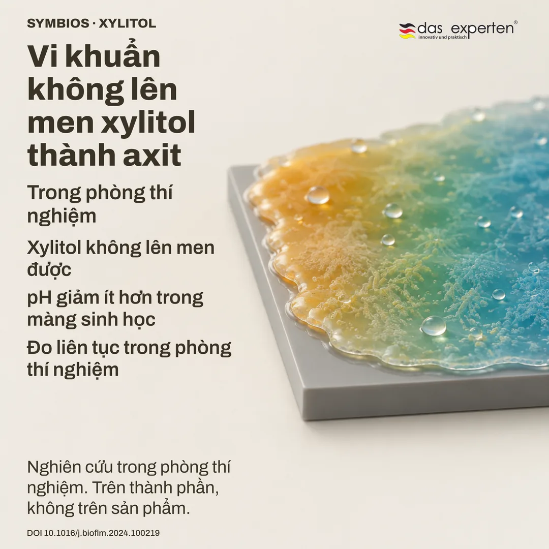 Hình minh họa màng sinh học trên bề mặt chung: có xylitol thì pH giảm ít hơn — phép đo phòng thí nghiệm
