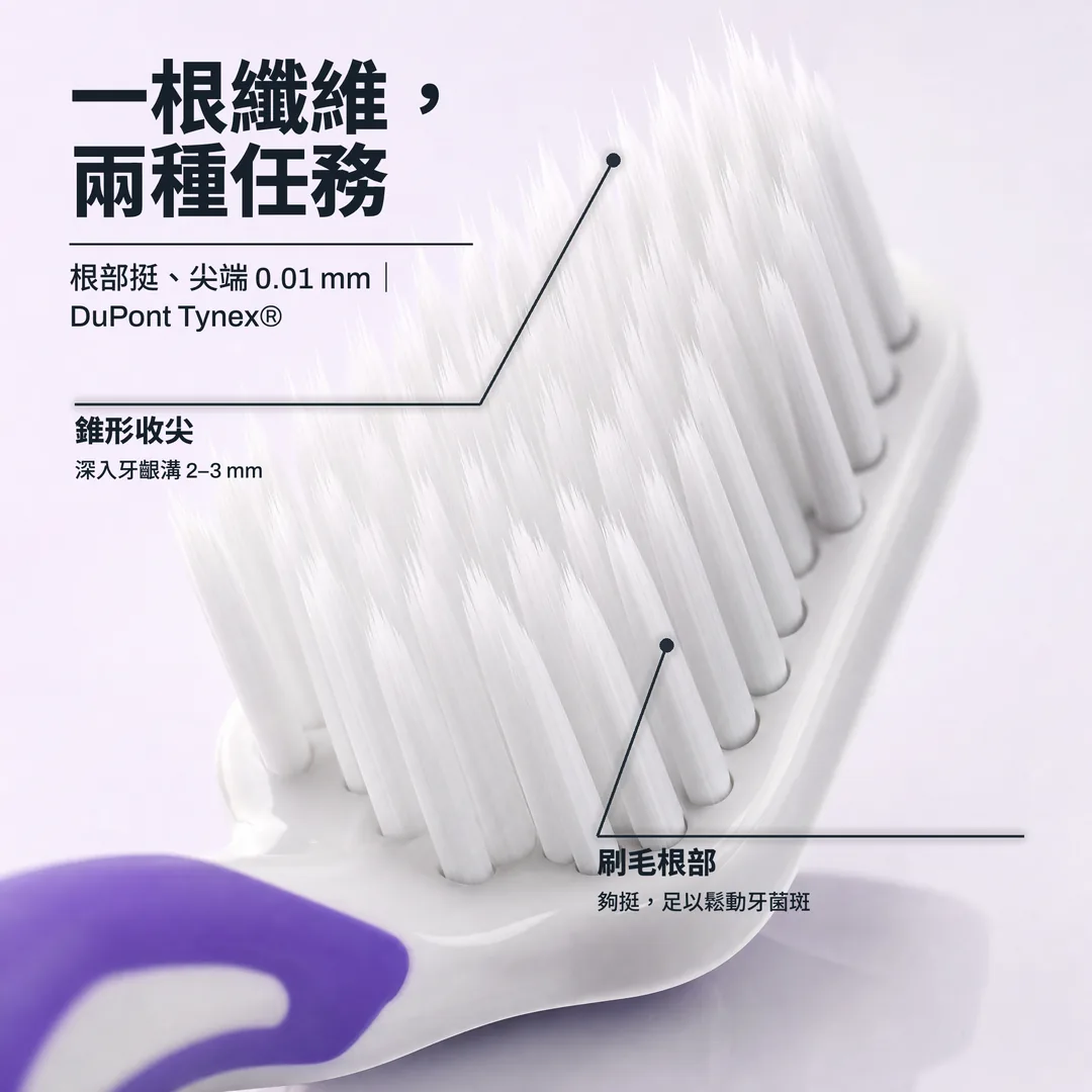 一根纖維,兩種任務 — 根部挺、尖端 0.01 mm|DuPont Tynex® · 錐形收尖: 深入牙齦溝 2–3 mm · 刷毛根部: 夠挺,足以鬆動牙菌斑