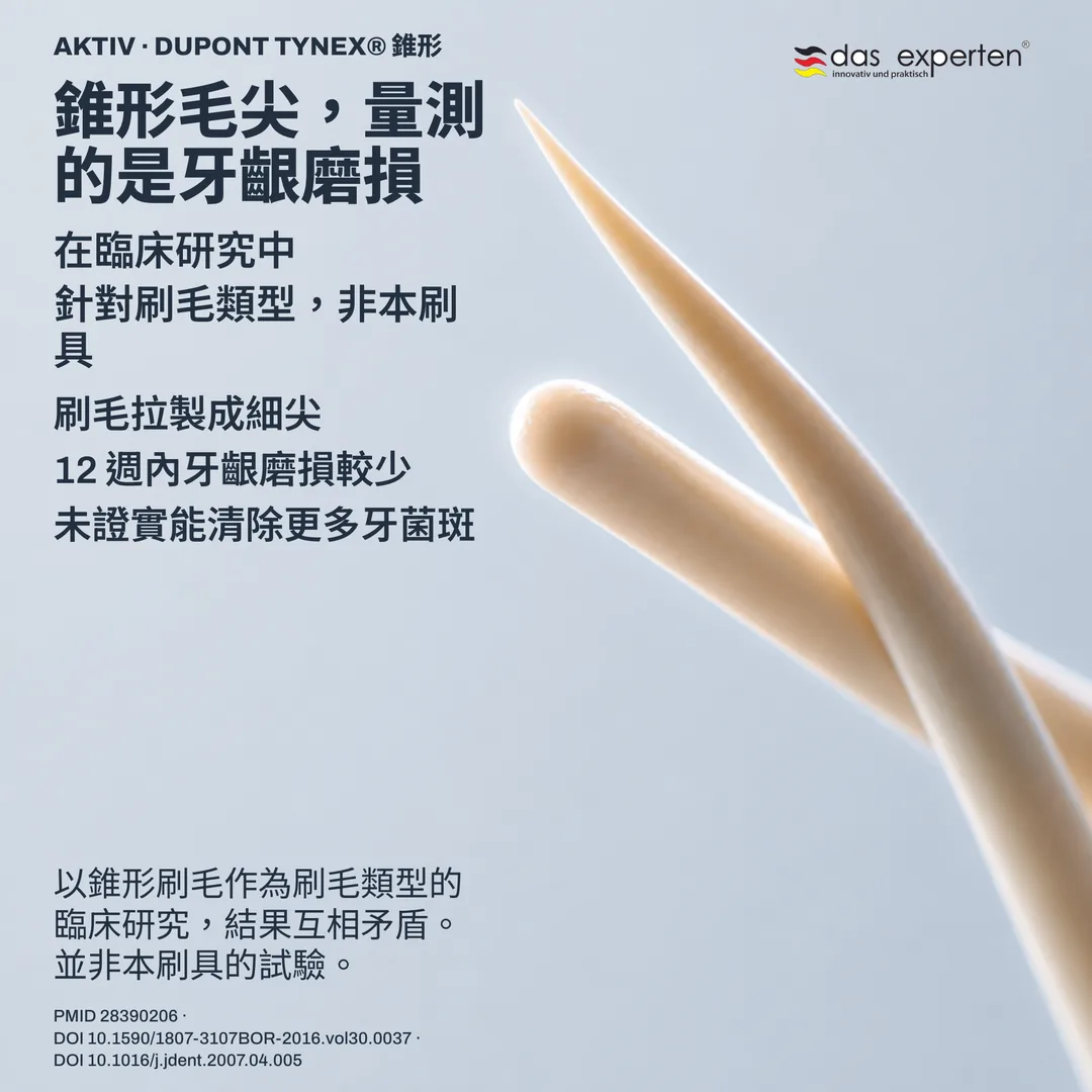 刷毛幾何研究:錐形毛尖側面與圓端毛尖側面並列,為非寫實比例的示意輪廓