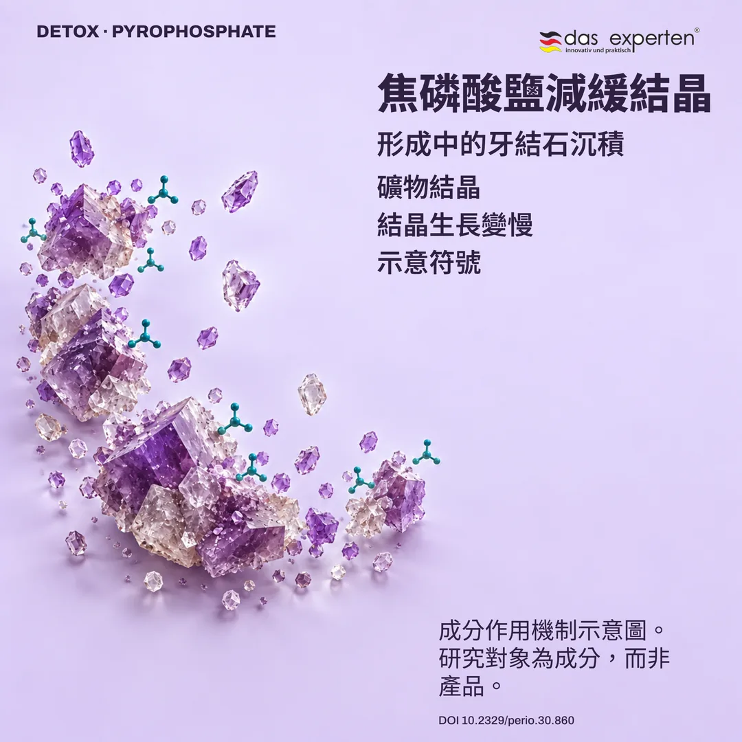 形成中的牙結石內礦物結晶示意圖:焦磷酸鹽減緩結晶生長