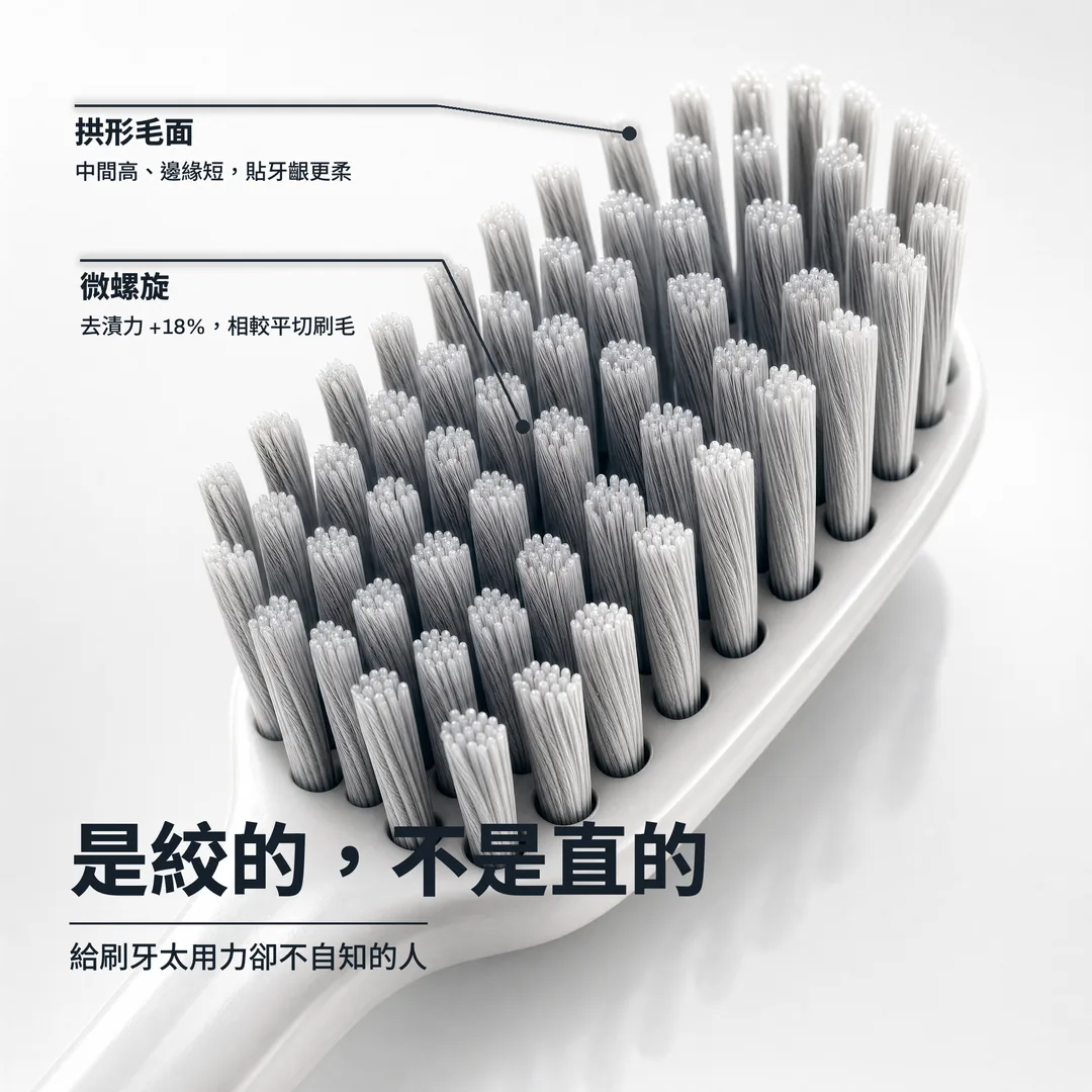 是絞的,不是直的 — 給刷牙太用力卻不自知的人 · 微螺旋: 去漬力 +18%,相較平切刷毛 · 拱形毛面: 中間高、邊緣短,貼牙齦更柔