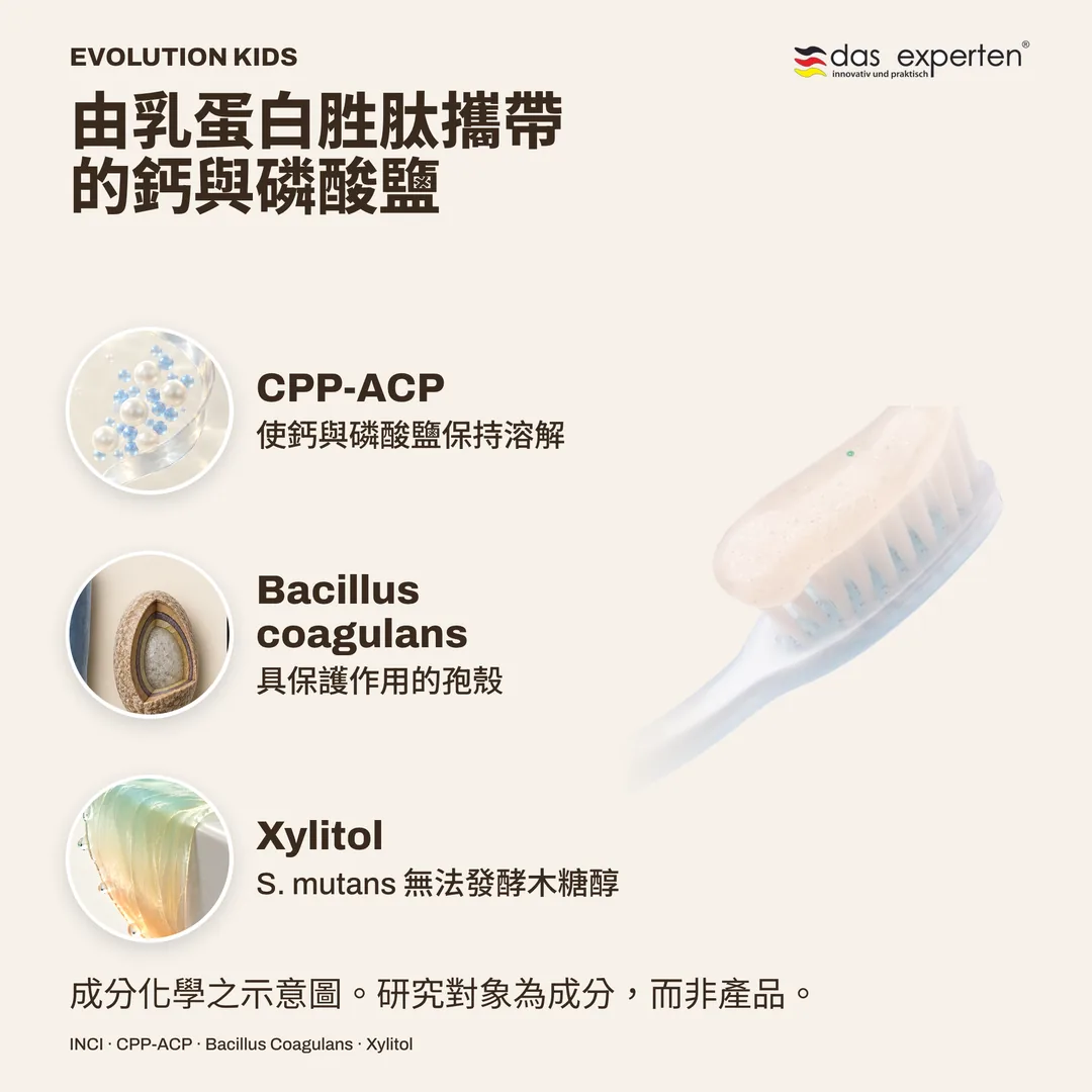 由乳蛋白胜肽攜帶的鈣與磷酸鹽 · Bacillus coagulans · Xylitol