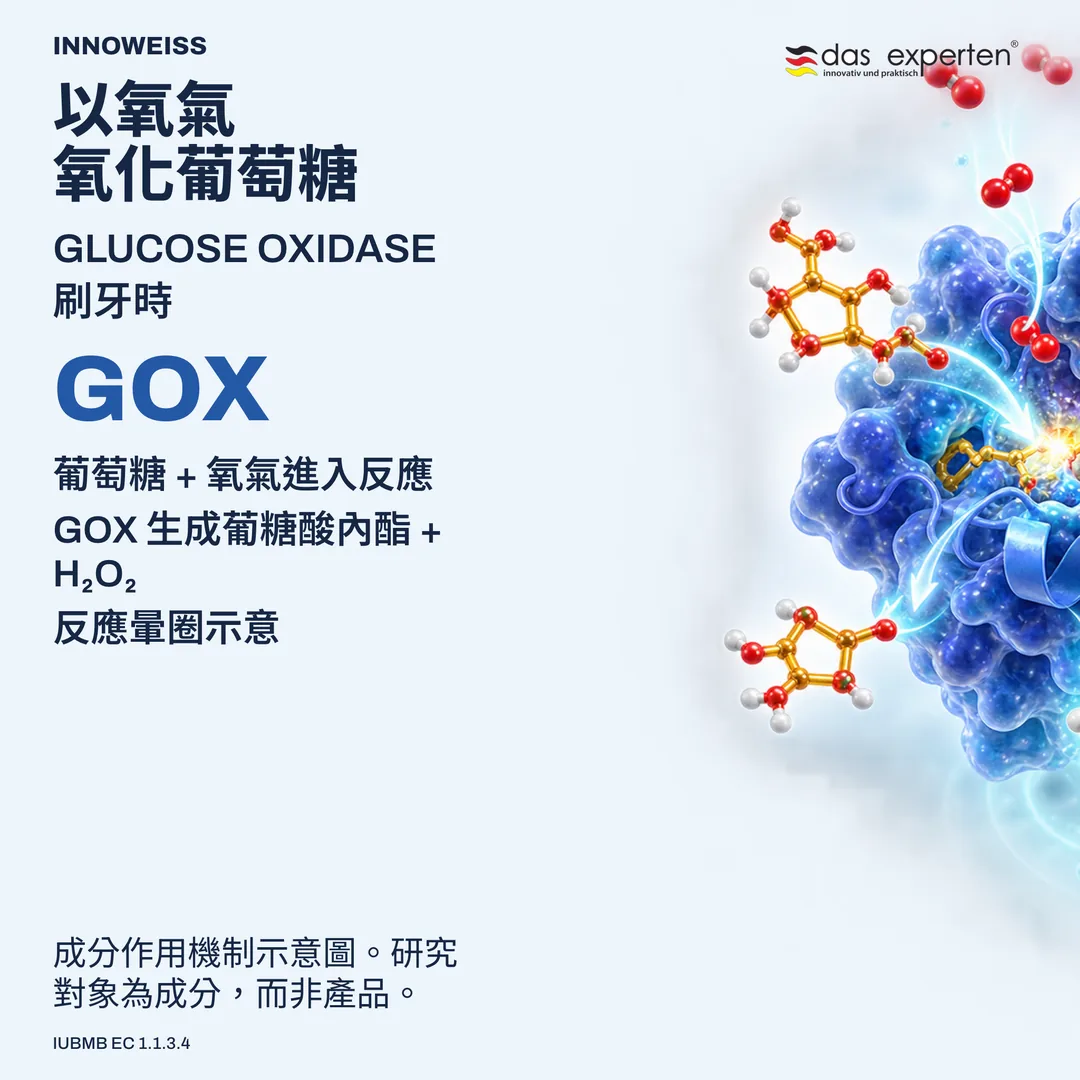 葡萄糖氧化酶將葡萄糖與氧氣轉化為葡糖酸內酯和過氧化氫的示意圖