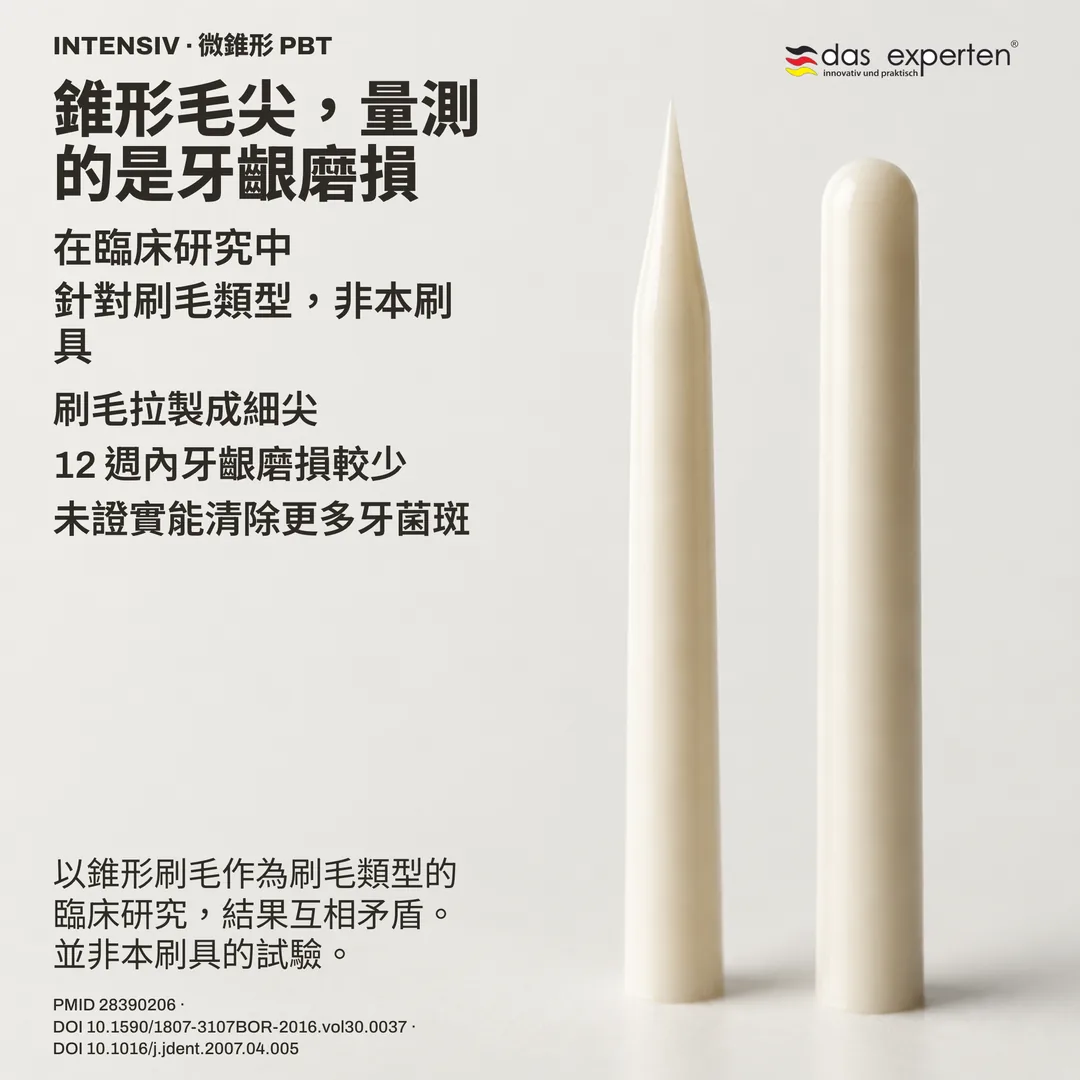 刷毛幾何研究:錐形毛尖側面與圓端毛尖側面並列,為非寫實比例的示意輪廓