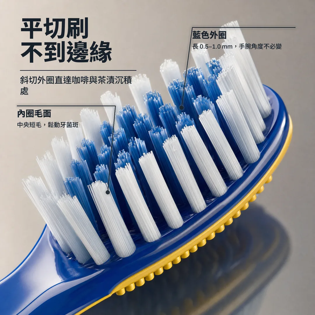 平切刷不到邊緣 — 斜切外圈直達咖啡與茶漬沉積處 · 藍色外圈: 長 0.5–1.0 mm,手腕角度不必變 · 內圈毛面: 中央短毛,鬆動牙菌斑