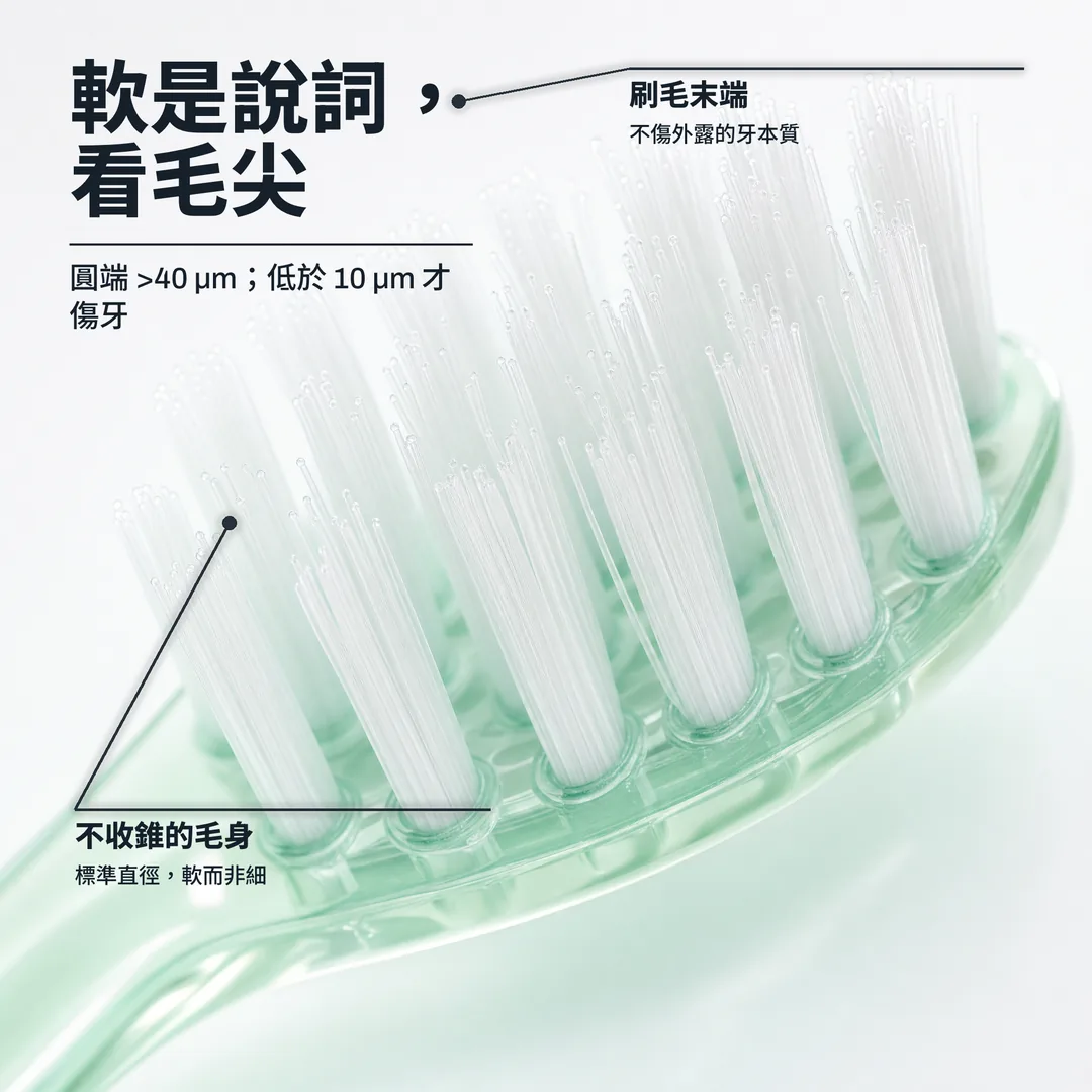 軟是說詞,看毛尖 — 圓端 >40 μm;低於 10 μm 才傷牙 · 刷毛末端: 不傷外露的牙本質 · 不收錐的毛身: 標準直徑,軟而非細