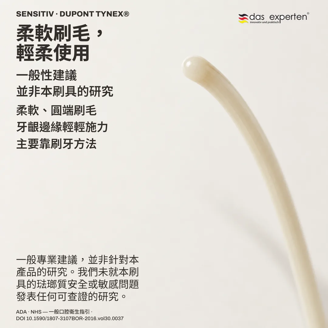 刷毛研究示意:非寫實比例下的一根軟毛,末端為圓弧而非切口,呈彎曲而非抗力狀態